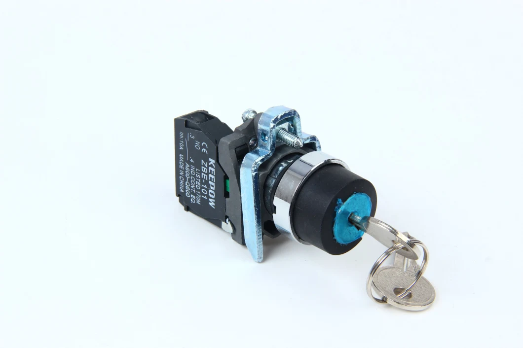 Push Button Switch 19mm 10A