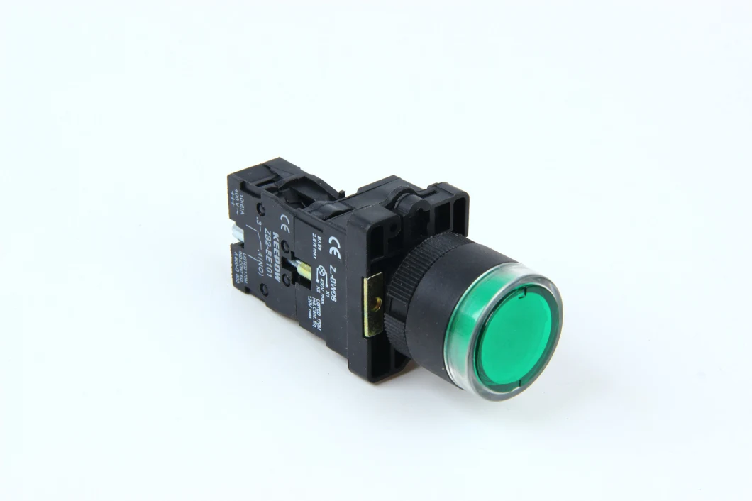 Push Button Switch 19mm 10A