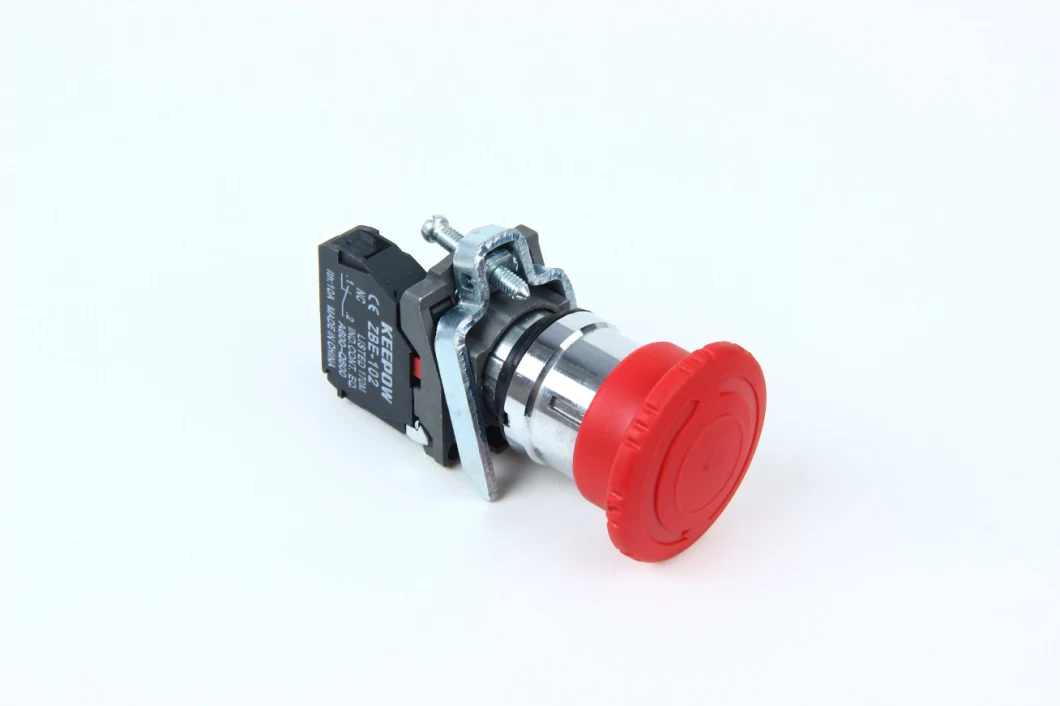 Push Button Switch 19mm 10A